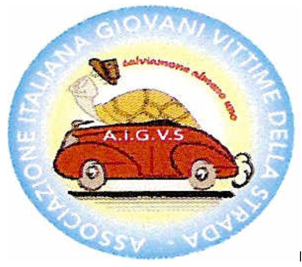 Progetto AIGVS1